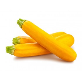 YELLOW COURGETTE - 5 KG